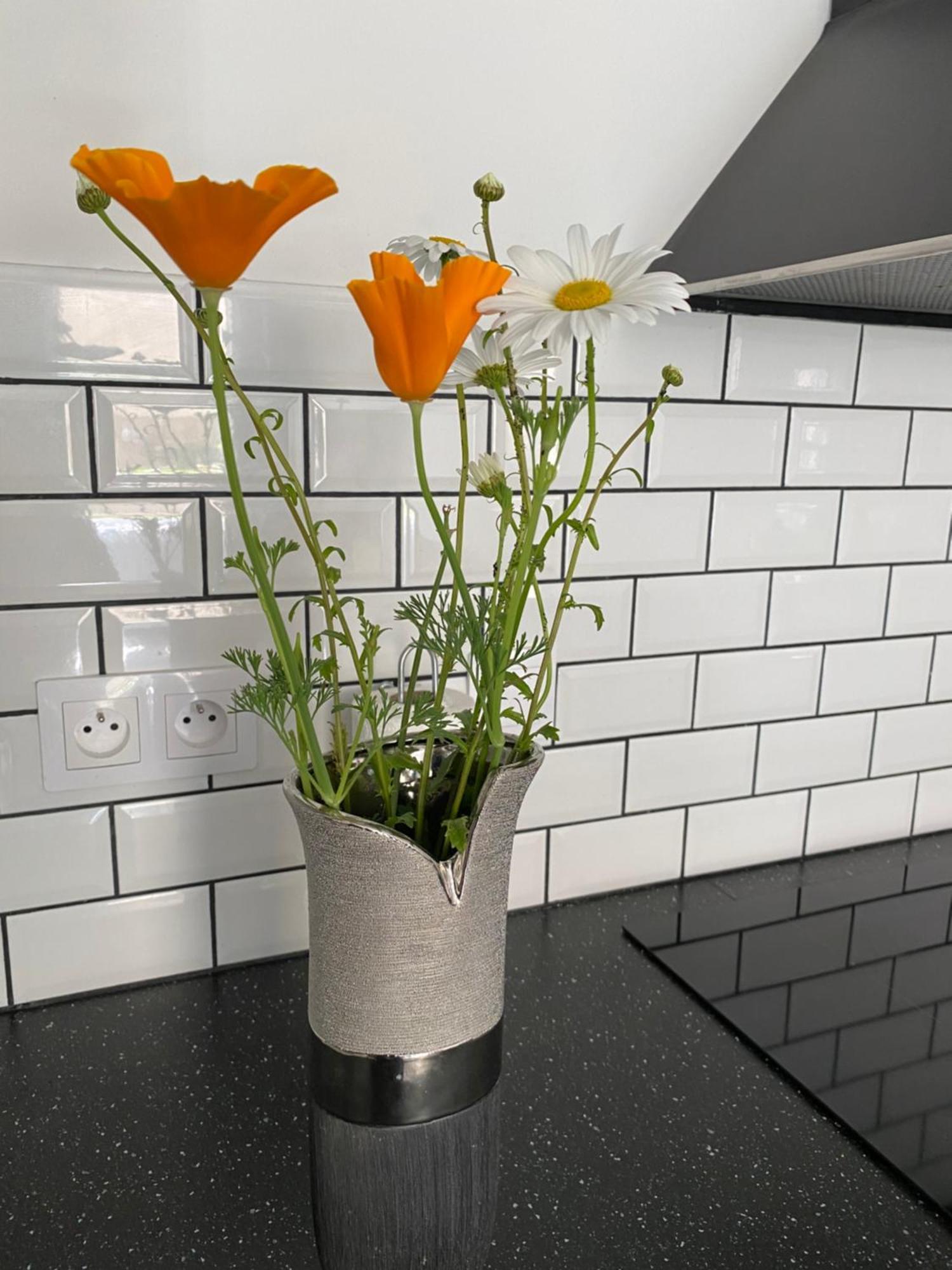 Fleurie Rdc Appartement Saint-Malo