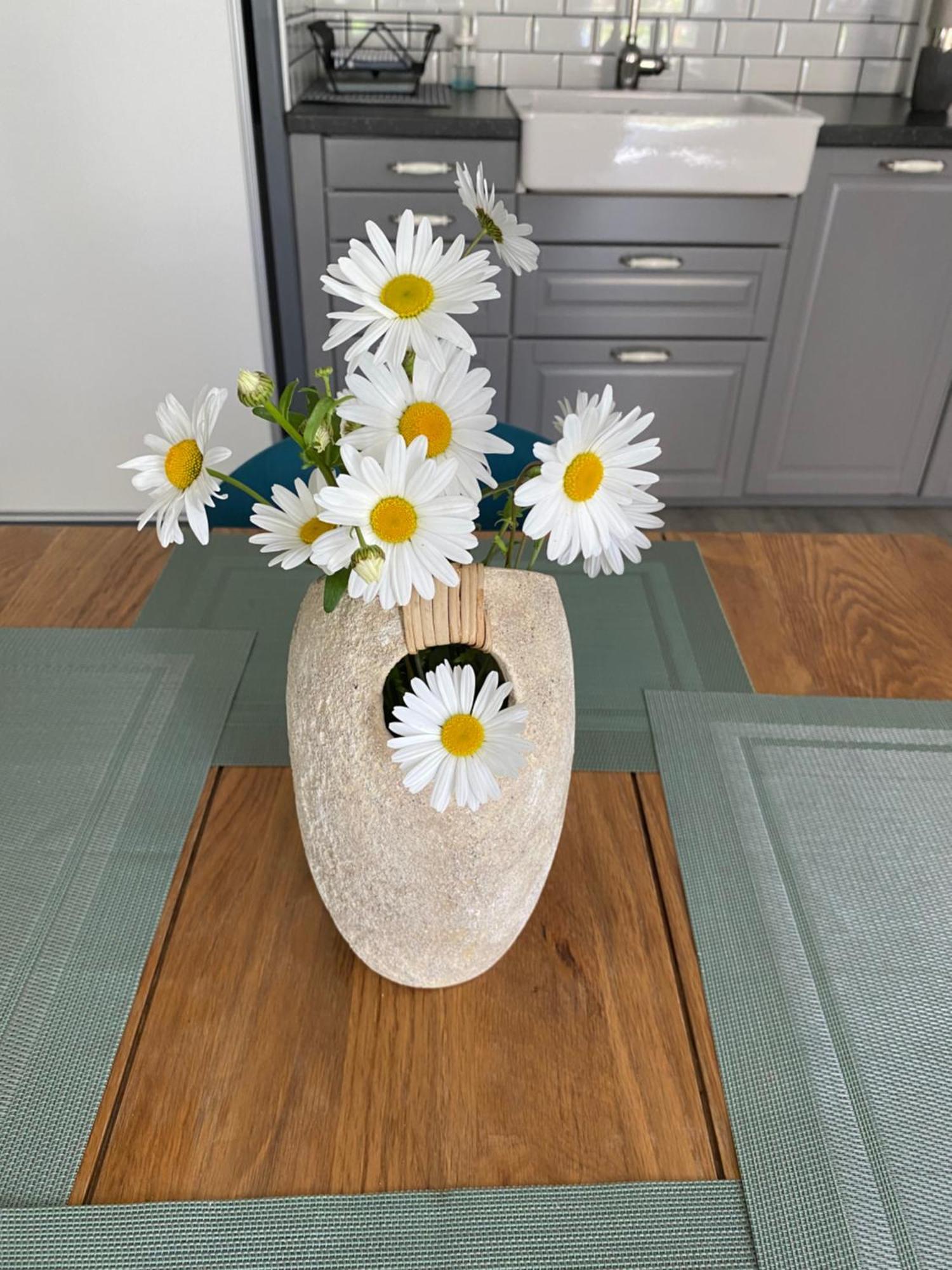 Appartement Fleurie Rdc Saint-Malo