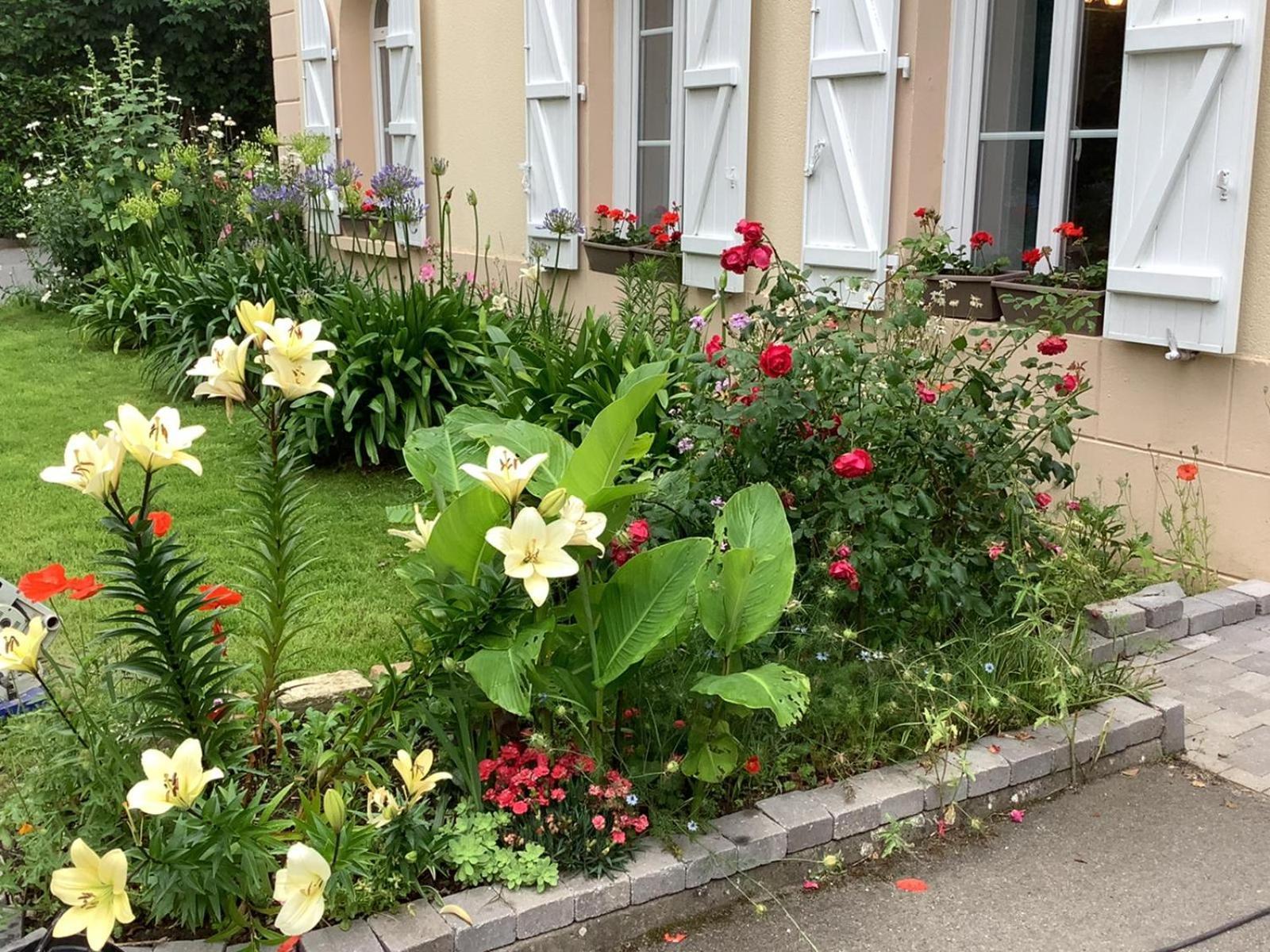 Appartement Fleurie Rdc *